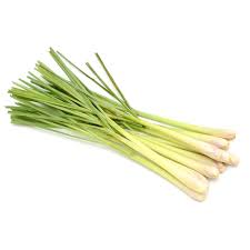 Paarden en aromatherapie; lemongrass