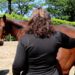 Eerste chakra paard