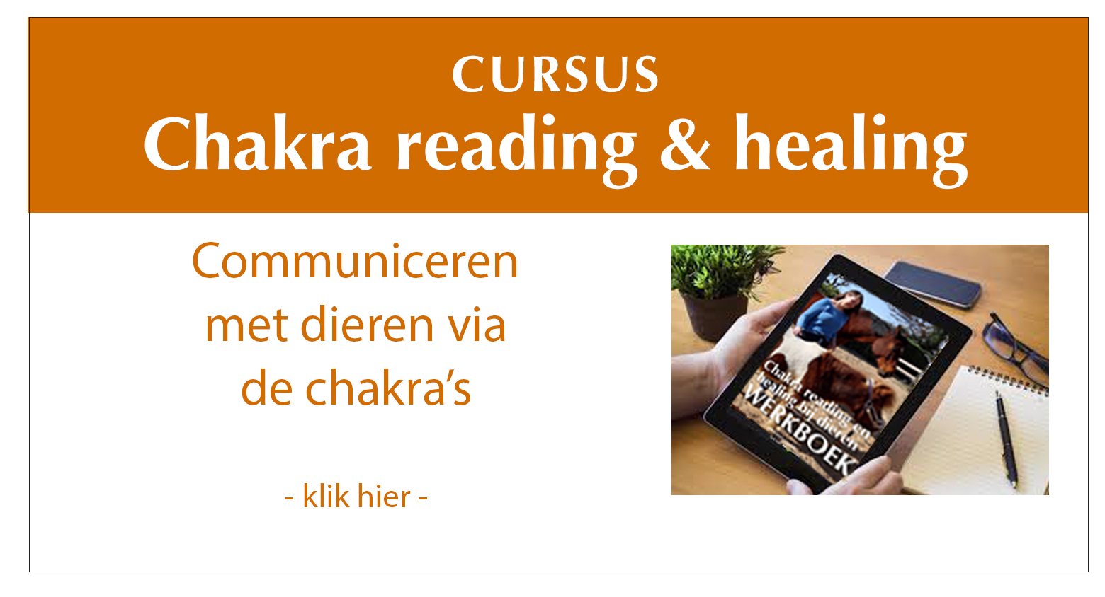 Chakra reading en healing