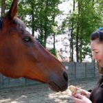 Gember voor paarden