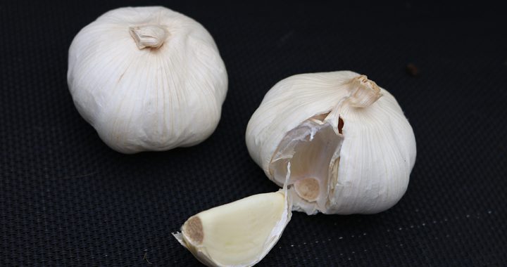 Kruiden voor paarden; knoflook