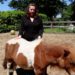 Chakra bij pony