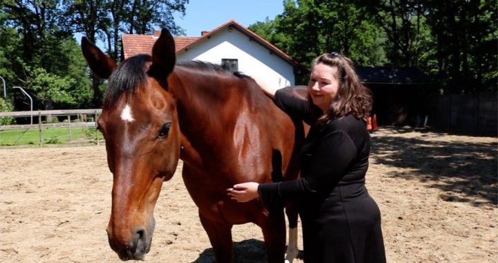 4e chakra bij paarden