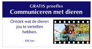 proefles communiceren met dieren