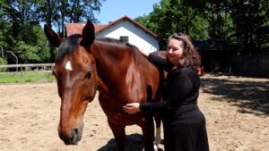 4e chakra hartchakra paard reading dier Reading paard Lou