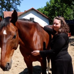4e chakra hartchakra paard reading dier Reading paard Lou