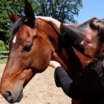 5e chakra Keelchakra paard Cursus Chakra's bij dieren telepathische communiceren met je dier