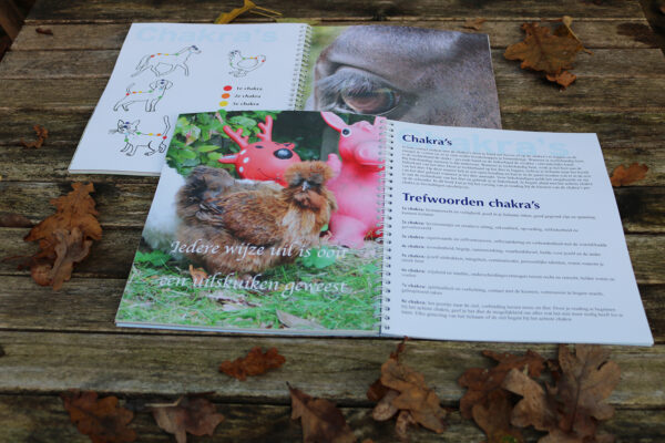 Inspiratie en werkboek communiceren met dieren