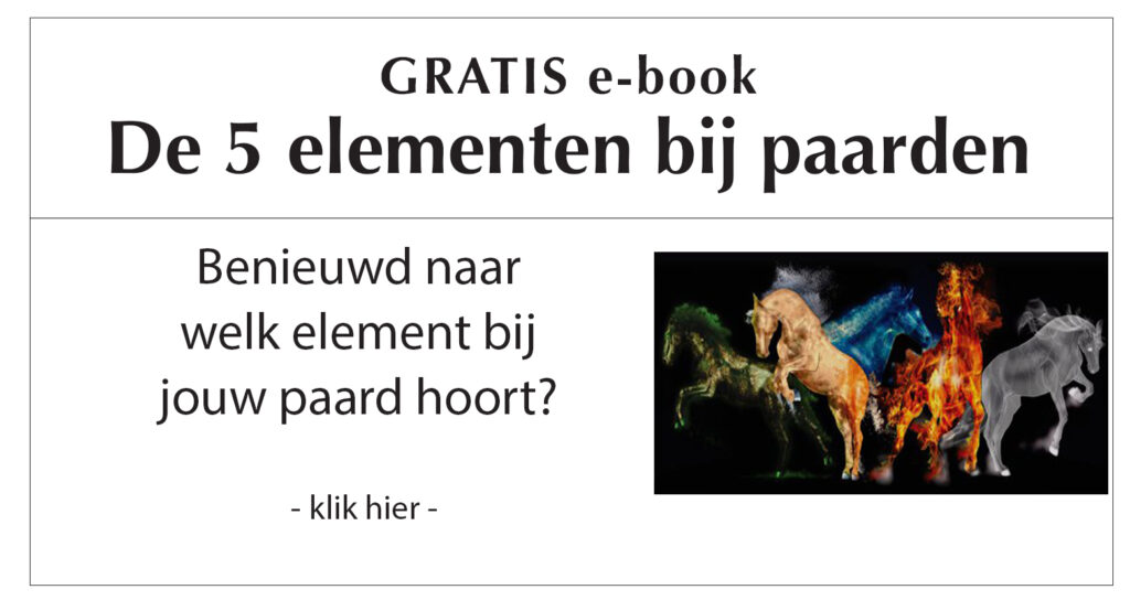 5 elementen bij paarden e-book