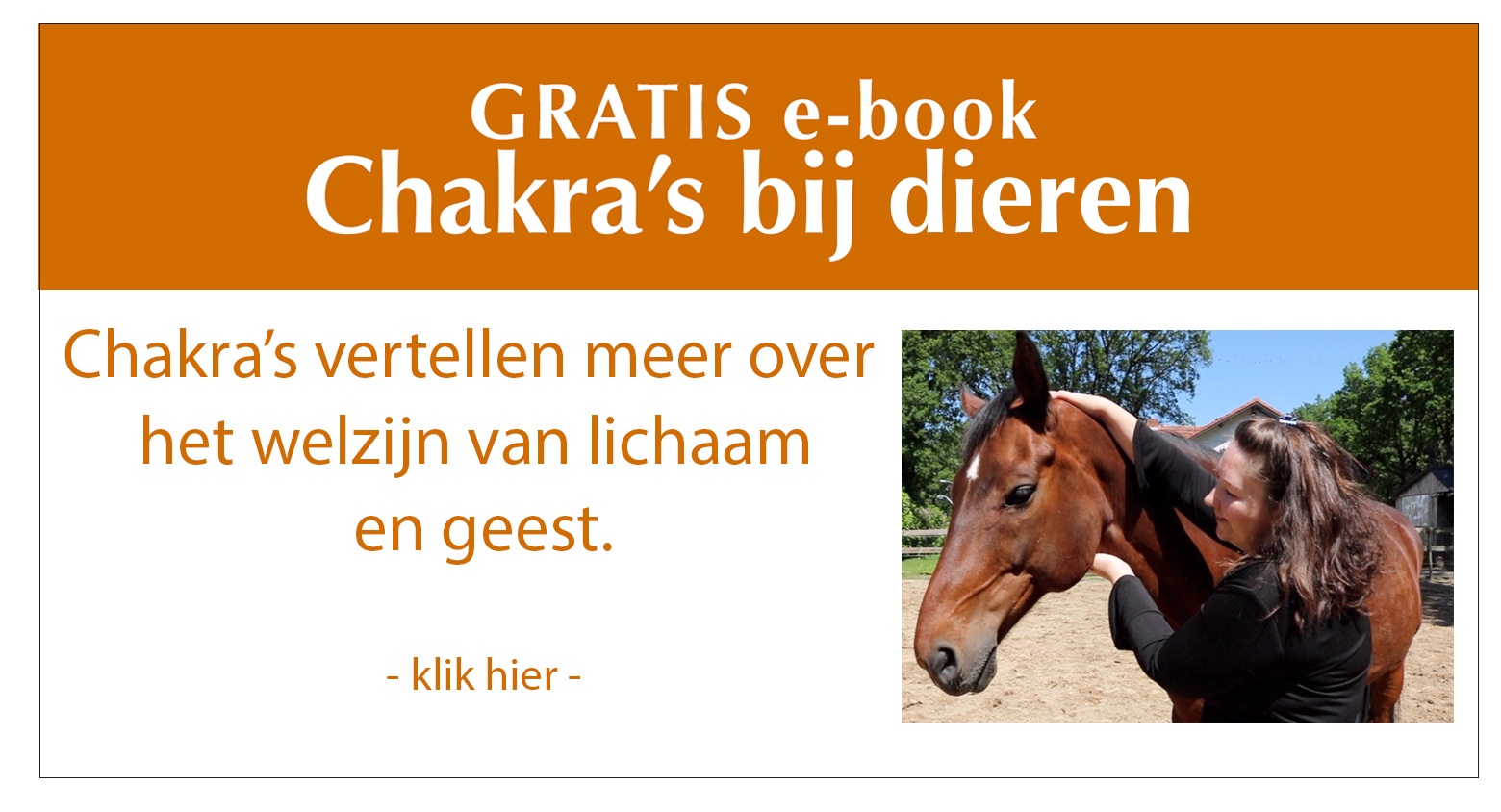 e-book chakra's bij dieren