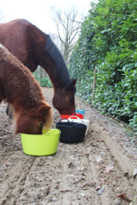 mineralenbuffet paard mineralen voor paarden veendrenkstof Regenschurft bij paarden