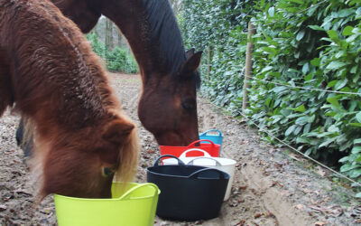 Mineralen voor paarden