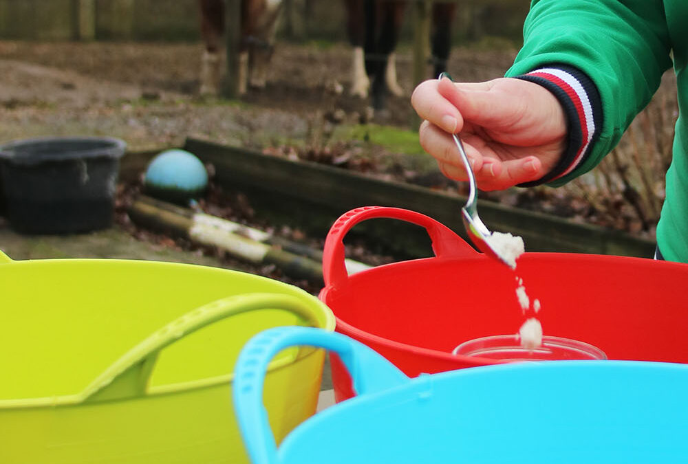 mineralen en vitaminen voor paarden