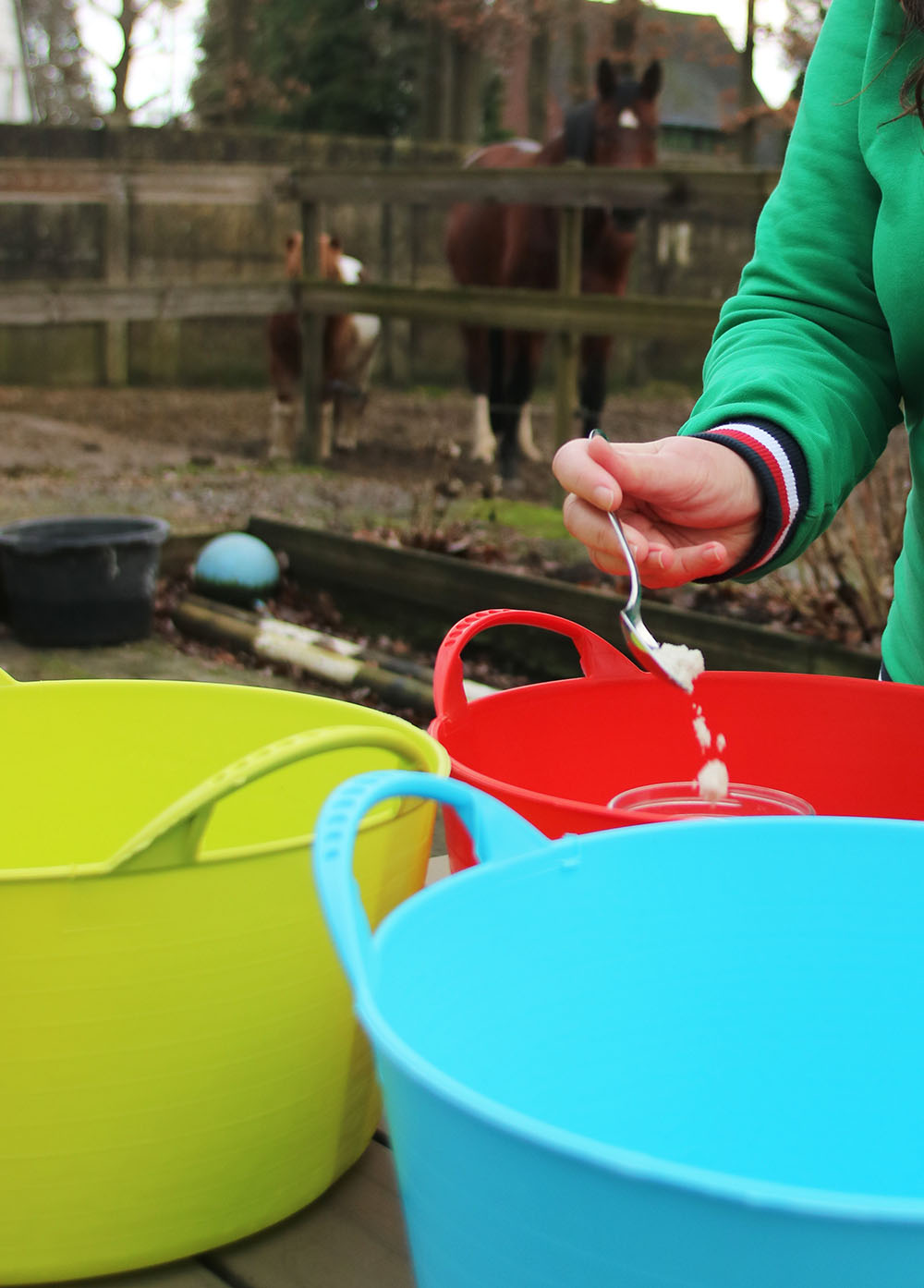 Mineralen voor paarden