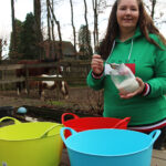 mineralen buffet voor paarden