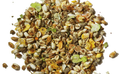 Zelf granola muesli voor paarden maken