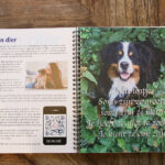 Boek communiceren met dieren van PaardenNatuurlijk
