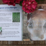 boek kruiden voor paarden