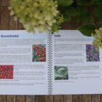 Boek kruiden voor paarden van PaardenNatuurlijk