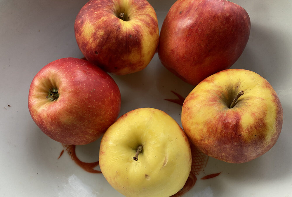 Appels voor paarden