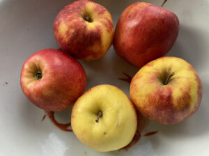 appels voor paarden