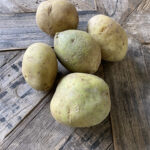 Aardappels en nachtschade voor paarden