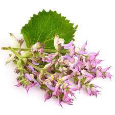 Aromatherapie voor paarden; Clary Sage (salie)
