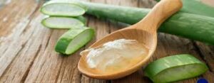 aloe vera voor paarden